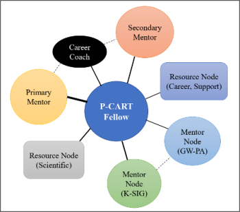 P-CART Fellow bubble chart at the center of career coach, secondary mentor, resource node, mentor node (GW-PA), mentor node (K-SIG), Resource Node (Scientific), and primary mentor